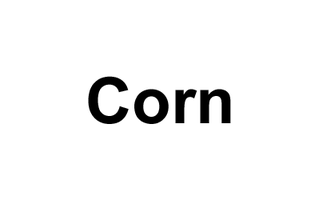 Corn C10