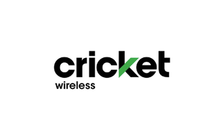 Cricket Ovation 2