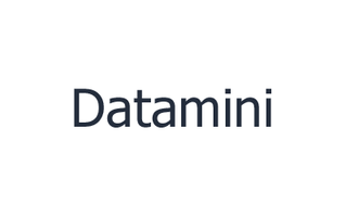 Datamini Logo