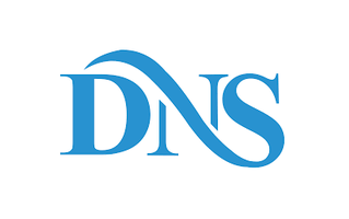DNS Logo