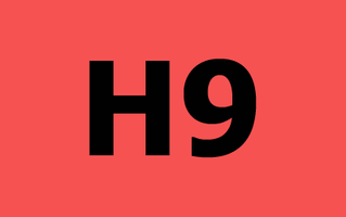 H9 Logo