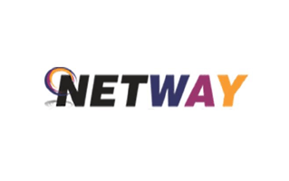 Netway Logo